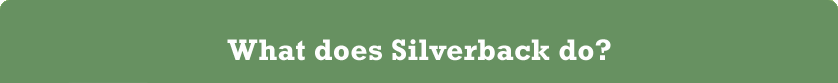 What does Silverback do?